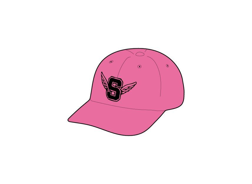 Supreme Wings Logo 6-Panel Pink