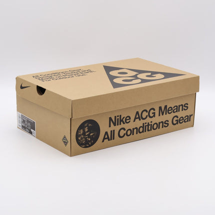 DD2861-200 Nike ACG Mountain Fly Low GTX SE Brown (Men's)