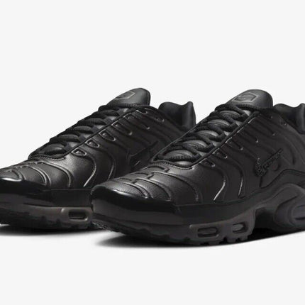 HJ4519-200 Nike Air Max Plus PRM Black Tea and Petra Brown (Men's)