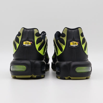 DM0032-010 Nike Air Max Plus Pacific Moss (Men's)