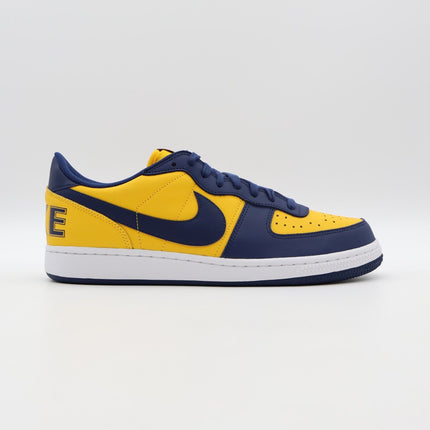 FJ4206-700 Nike Terminator Low University Gold Navy Michigan White (Men's)