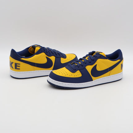 FJ4206-700 Nike Terminator Low University Gold Navy Michigan White (Men's)