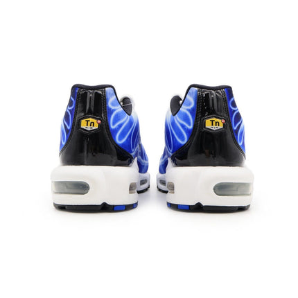 DZ3531-400 Nike Air Max Plus OG Ice Blue Light Photography Old Royal (Men's)