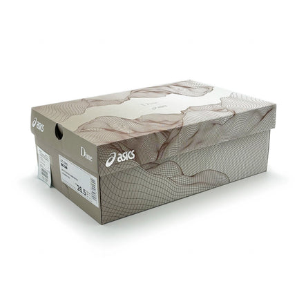 1201A887-100 Dime �~ Asics GT-2160 Arctic Wolf London Fog