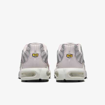 FV8480-001 Nike Air Max Plus Light Pink Silver (Women's)