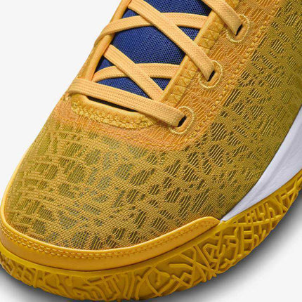 DZ2916-700 Titan �~ Nike Zoom LeBron NXXT Gen University Gold