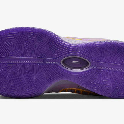 FV2345-500 Nike LeBron 21 Purple Rain (Men's)