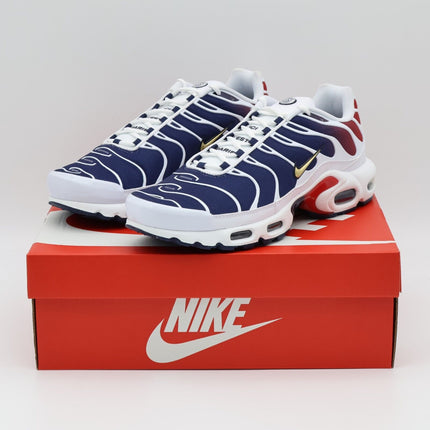 FZ4776-100 Nike Air Max Plus Paris Saint Germain (Men's)