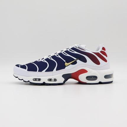 FZ4776-100 Nike Air Max Plus Paris Saint Germain (Men's)