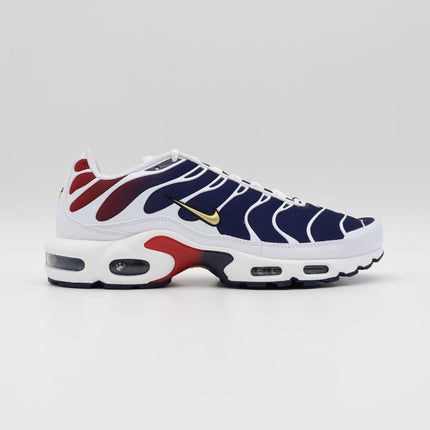 FZ4776-100 Nike Air Max Plus Paris Saint Germain (Men's)