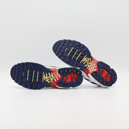 FZ4776-100 Nike Air Max Plus Paris Saint Germain (Men's)