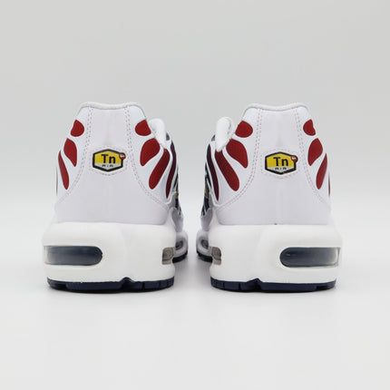 FZ4776-100 Nike Air Max Plus Paris Saint Germain (Men's)