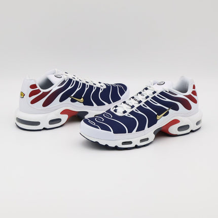 FZ4776-100 Nike Air Max Plus Paris Saint Germain (Men's)