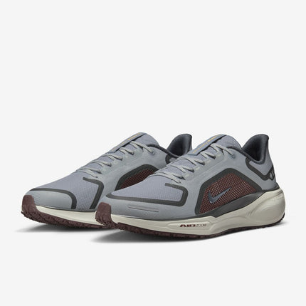 FQ1356-003 Nike Pegasus 41 GORE-TEX Light Pumice Burgundy Crush Dark (Men's)