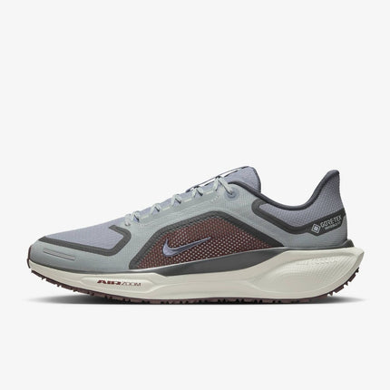 FQ1356-003 Nike Pegasus 41 GORE-TEX Light Pumice Burgundy Crush Dark (Men's)