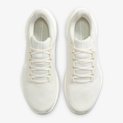 HJ3861-133 Nike Pegasus 41 Sail Coconut Milk (Men's)